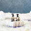 Pingo & PJevs Klarborg Penguins