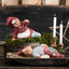 Thor Klarborg Nisse