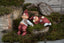 Michael Klarborg Nisse