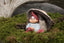 Matti Klarborg Nisse
