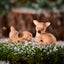 Reino & Rolf Klarborg Reindeer calf
