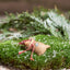 Hilmer Klarborg Nisse