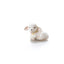Klarborg Lamb - Lambert