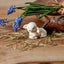 Klarborg Lamb - lamb