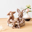 Klarborg Hare - Store Nøk