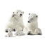 Nanok Klarborg Polar bear father