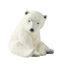 Noel Klarborg Polar bear mother