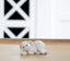 Klarborg Lamb - Liddi