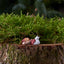 Lea Klarborg Nisse