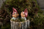 Luffe & Musse Klarborg Nisser