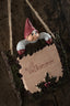Ingolf Klarborg Nisse