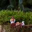 Linus Klarborg Nisse